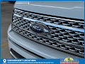 2020 Ford Expedition Max Platinum