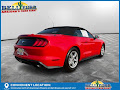 2023 Ford Mustang EcoBoost
