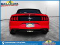 2023 Ford Mustang EcoBoost