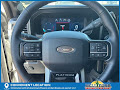 2025 Ford F-350SD Platinum